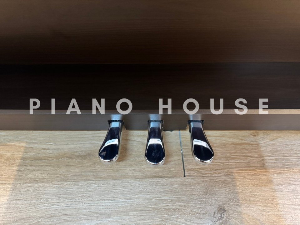 KAWAI CN27 DW - Ảnh thực tế 8